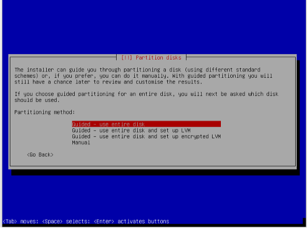 Debian installation use the entire disk for disk partitions.