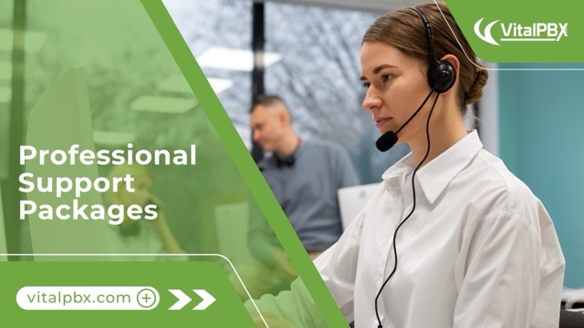 Professional Support Packages